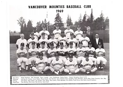 ORIGINAL 1969 VANCOUVER MOUNTIES 8x10 TEAM PHOTO BASEBALL CANADA • $50