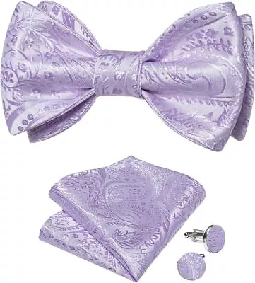 DiBanGu Silk Bow Ties For MenPaisley/Striped/Plaid Self Tie Bow Tie And Pocket  • $41.65