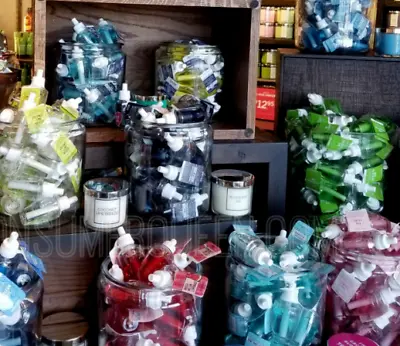 Bath & Body Works Wall Flower Plug Refills • $3.50