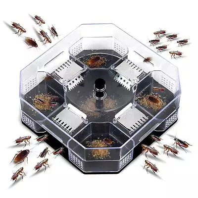 Cockroach Trap Box Reusable Eco-Friendly Roach Catcher Trap For Indoor Kitchen • £7.19