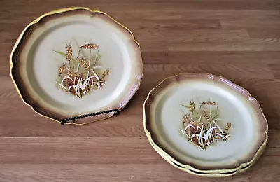 Vintage Mikasa Whole Wheat Stoneware  Granola Set/3 Dinner Plates Retired 1989 • $29.99