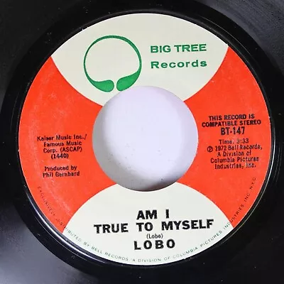 Rock 45 Lobo - Am I True To Myself / I'D Love You To Want Me On Big Tree Records • $5