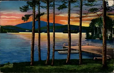 Sunset Pine Trees Moosehead Lake Greenville Maine ~ Postcard Sku009 • $2.47