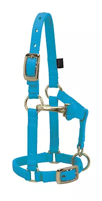 Weaver Leather Original Adjustable Mini Nylon Halter Medium Blue 35-4800-BL • $28.39