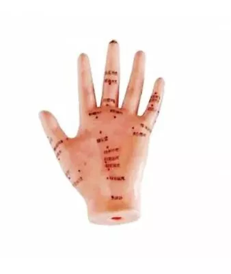 Human Hand Acupuncture Model Sculpture Professional Medical Teaching • $49.99