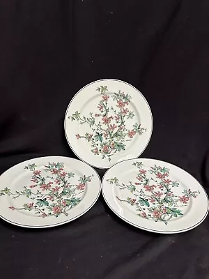 Villeroy & Boch  Botanica  Three Dinner Plates 10 1/2” Very Pre-Owned Condition! • $14.99