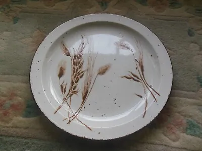 MIDWINTER Wild Oats Stonehenge 10  DINNER PLATE (England) • $12.60