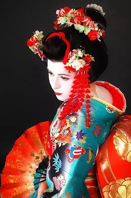 £25 • Buy Geisha Girl Canvas Wall Art Poster Print Painting Japanese Erotic Oriental Girl