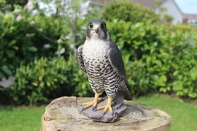 Vivid Arts Peregrine Falcon Highly Detailed Garden Ornament • £34.95