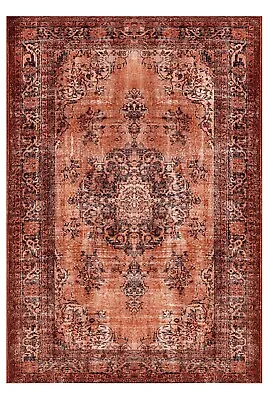 Stunning Vintage Looking Brand New Turkish Rug In Burnt Orange ( Light Red ) Rug • $195