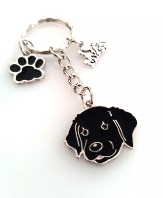 Birthday Gift Labrador/Retriever Black Charm Keyring/chain Stainless Split Ring • £3.99