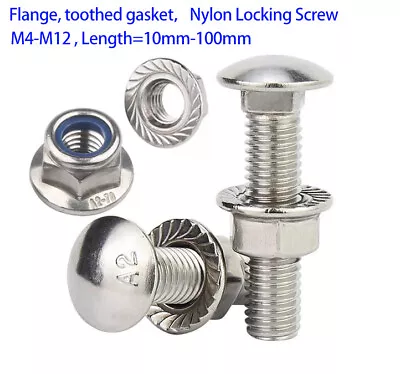 STAINLESS STEEL A2 CARRIAGE BOLTS /CUP SQUARE COACH +Tooth Flange Locking SCREWS • £3.23