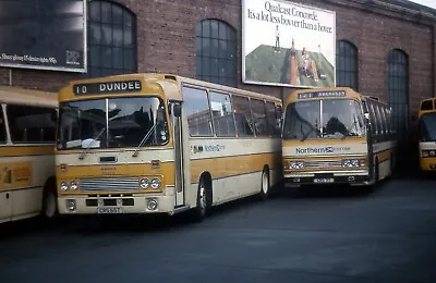 Northern Scottish Npe65 Aberdeen 81  6x4 Quality Bus Photo • £2.70