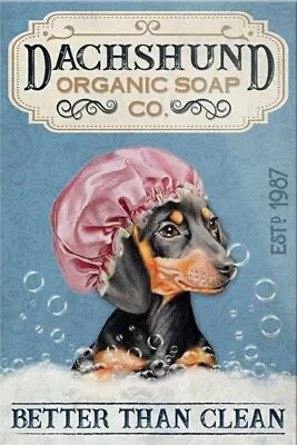 Dachshund Dog Soap  11 X 17  Giclee Reproduction Print Premium Matte Paper • $16.95