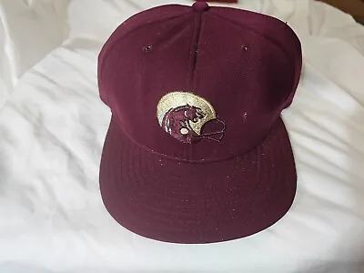 Vintage Michigan Panthers USFL AJD Hat Cap Fitted 7 3/4 • $34.99