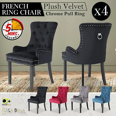 4X Dining Chair French Provincial Ring Studded Velvet Rubberwood LISSE • $589