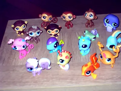 Littlest Pet Shop Bundle Monkeys  Sea Creatures  All In Photos • £12.50