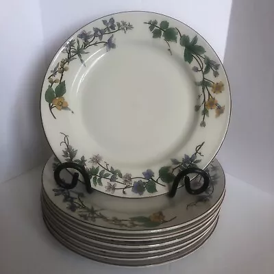 Woodhill By Citation China Dinner Plates 10.5  Floral Design Brown Trim Set Of 7 • $42.97