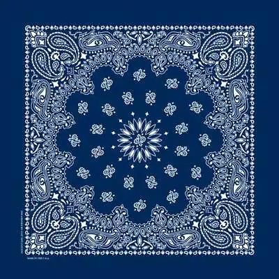 Hav-A-Hank USA Made 100% Cotton Paisley Bandannas Bandanas 22 X22  • $2.49