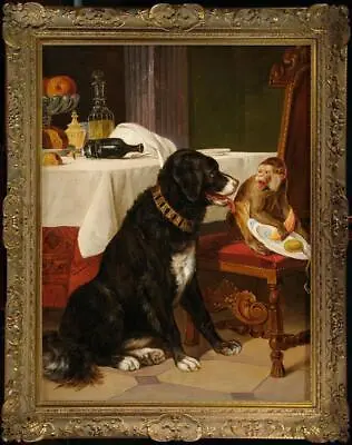 Old Master-Art Antique Oil Painting Portrait Animal Dog Monkey On Canvas 30 X40  • $612
