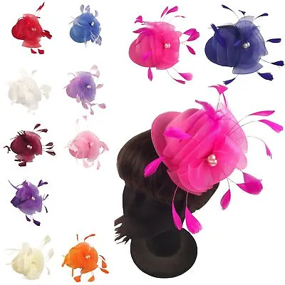 Mini Top Hat Fascinator Hair And Head Clip Fancy Dress Party • $9.24