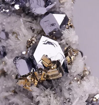 Galena And Pyrite On Quartz From Krushev Dol Mine - Bulgaria • $40