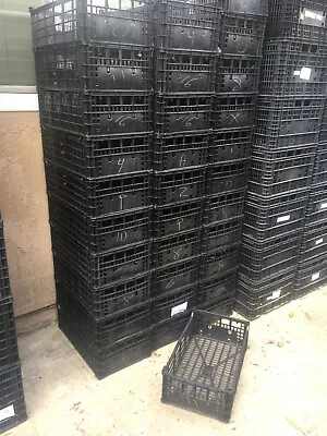 100 Black Plastic Stackable Stack On Crates Baskets Containers 20  X 11.5  X 6  • $160