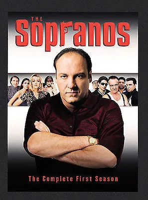 $2.99 • Buy The Sopranos - The Complete First Season (DVD, 4-Disc Set) NO SCRATCHES