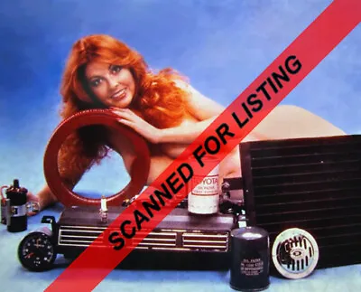 CASSANDRA PETERSON (ELVIRA) Early Ad For Auto Parts 8x10 PHOTO #8353 • $12.95