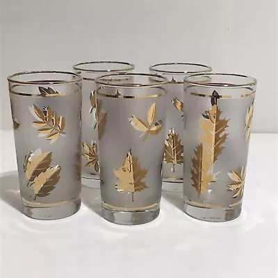 5 MCM Libbey “Golden Foliage” Frosted Leaf 12 Oz 5.5” Tumblers Glasses VTG • $27