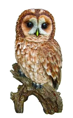 Vivid Arts | Tawny Owl | Highly Detailed Frost Resistant Resin Home Or Garden... • £18.99