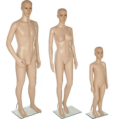 £161.99 • Buy Full Body Mannequin Shop Window Display Dummy Tailor's Tummy Dressmaker New