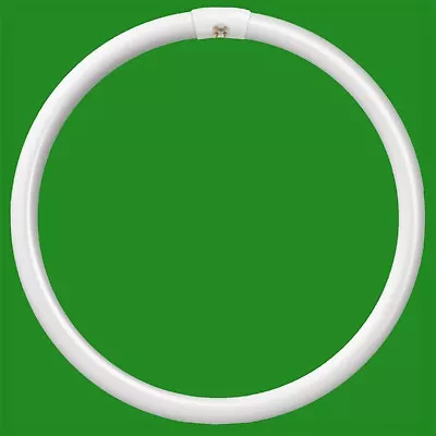 1x 60W G10Q 4 Pin T9 Round 400mm Circular Lamp Fluorescent Tube Ring Light Bulb • £11.99
