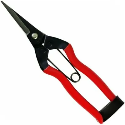 Koshiji Flowers And Fruit Scissors (for Left Hand) 185mm K-10L • £33.24