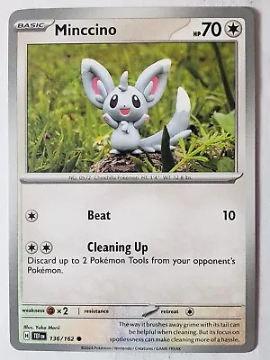 Minccino 136/162 NM / M - Yuka Morii Clay Art - Temporal Forces Pokemon Card • $0.99