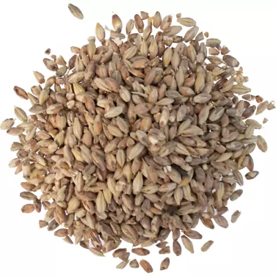 Victory Malt (Milled / Crushed) By Briess 10 Lbs Beer Brewing Grains (28L) • $23.99