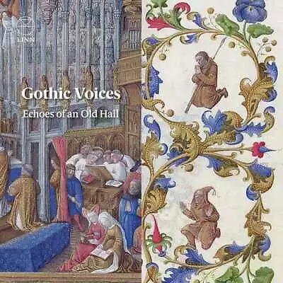 Gothic Voices : Gothic Voices: Echoes Of An Old Hall CD (2021) ***NEW*** • £14.68