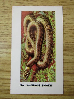 £0.99 • Buy Brooke Bond Tea  R.s.p.c.a.  Card