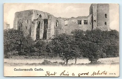 POSTCARD COCKERMOUTH CASTLE 5124 B- 1904 PEACOCKS SERIES  • £2.99