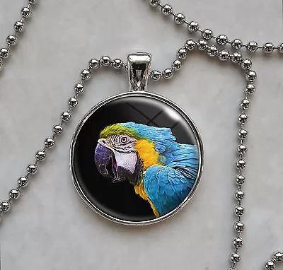 Blue And Yellow Macaw Parrot Psittacines Animal Bird Pendant Necklace • $16.50