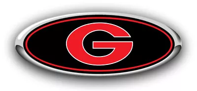 1995-1996 F150 F250 Ford Models Georgia Bulldogs Logo Overlay Emblem Decals 3PC • $16.99