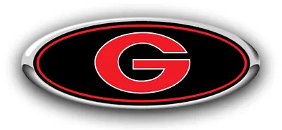 NEW Fits Various Ford Models Georgia Bulldogs Logo Overlay Emblem Decal FRONT • $9.99