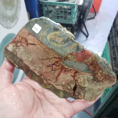 Morrisonite Jasper Slab • $80.30