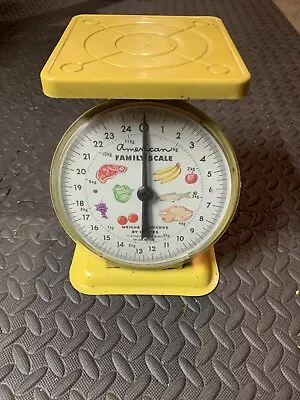 Vintage Retro Kitchen American Family Metal Scale 25 Pound Max Farmhouse Decor • $15.99