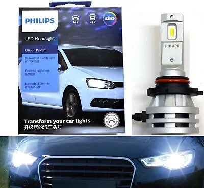 OpenBox Philips Pro3101 LED White 9005 Two Bulbs Head Light DRL Daytime Replace • $75