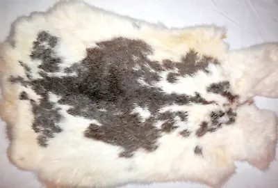 9.5 X15  Tanned Rabbit Skin Hide Pelt Natural Decor #1581 • $12.50