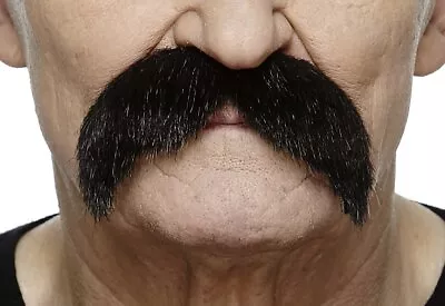 Mustaches Self-Adhesive Walrus Fake Mustache • $20.87