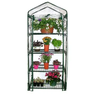 Garden Compact Walk In Greenhouse Frame Shelves Reinforced Cover Cold Frame New • £19.99