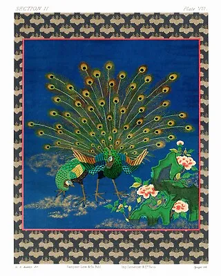 12141.Decor Poster.Room Wall Art.Home Interior Vintage Design.Asian Peacocks • $19