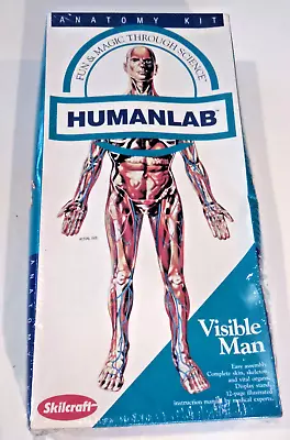 Skilcraft HUMAN LAB Anatomy Visible MAN Plastic Model Kit 15  NEW-Factory Sealed • $39.99